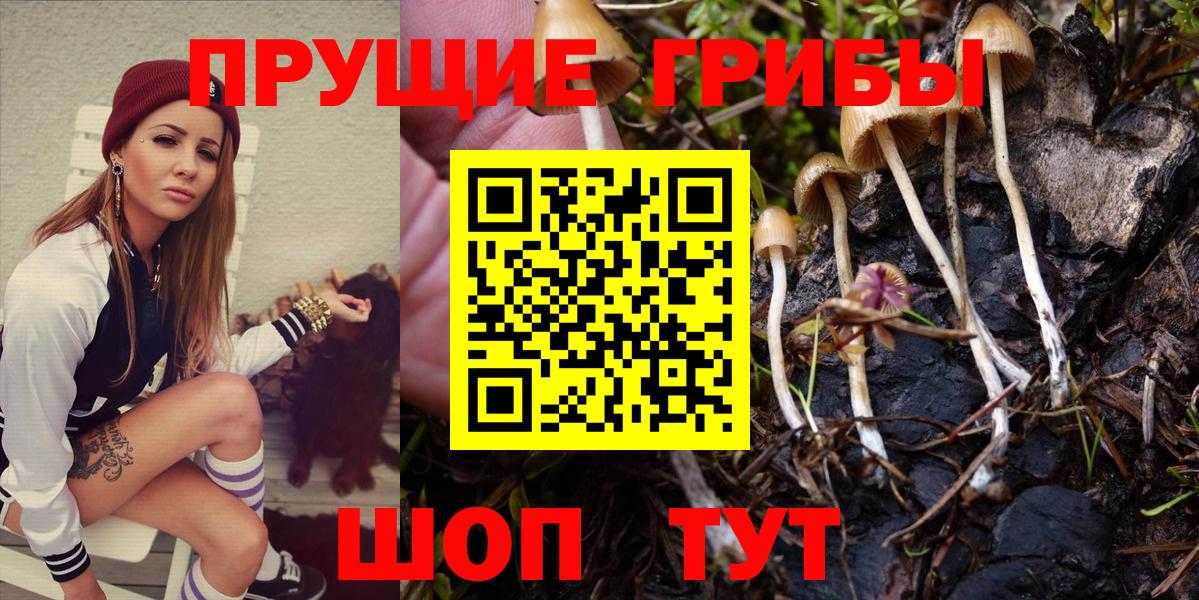 Псилоцибиновые грибы Psilocybine cubensis  где продают   Егорьевск  Вход с VPN  Псилоцибиновые грибы MAGIC MUSHROOMS 