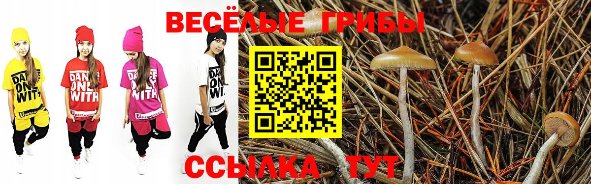 Галлюциногенные грибы MAGIC MUSHROOMS Егорьевск